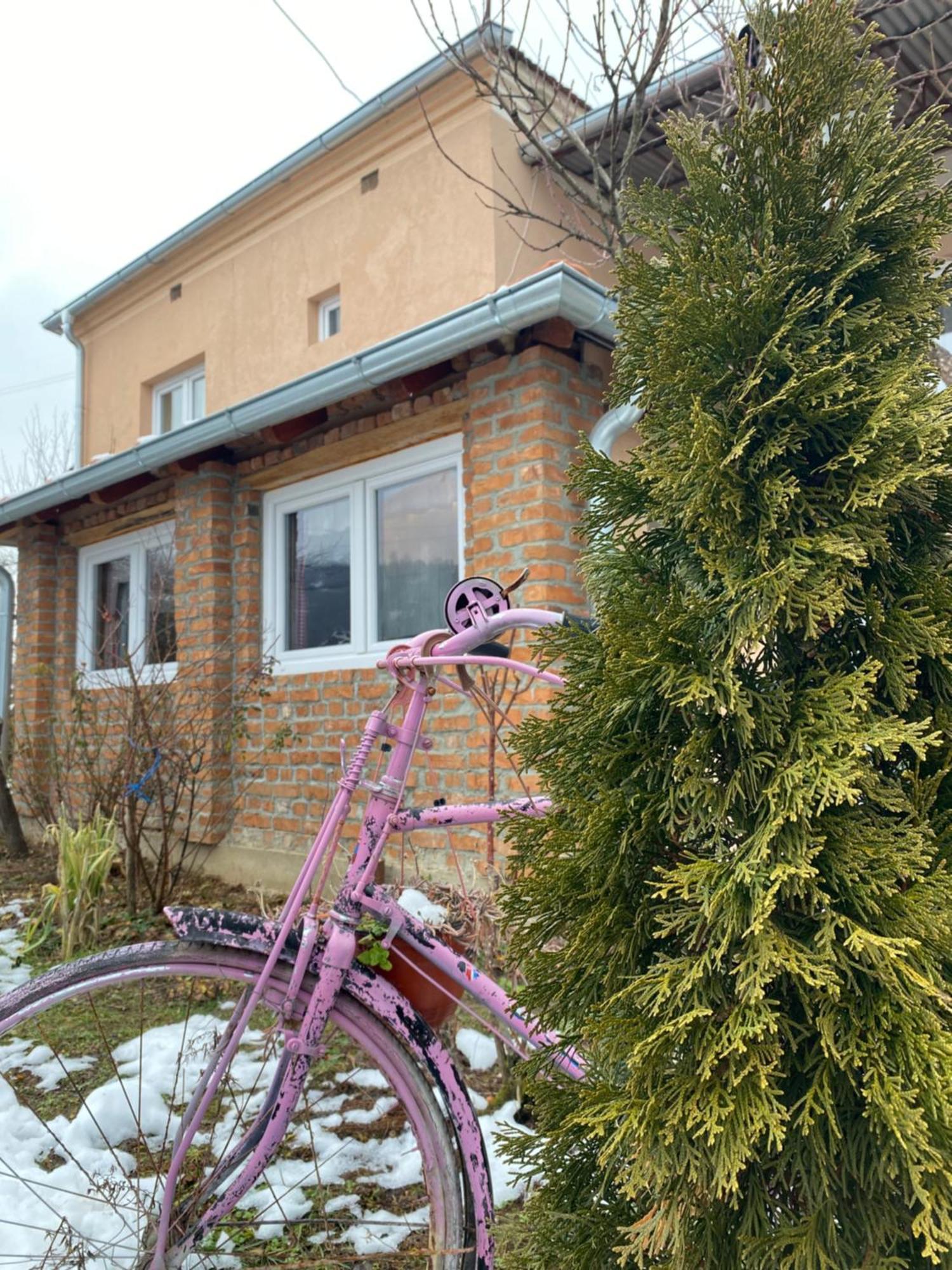 Seosko Turisticko Domacinstvo Stanisic Apartment Kalna Luaran gambar