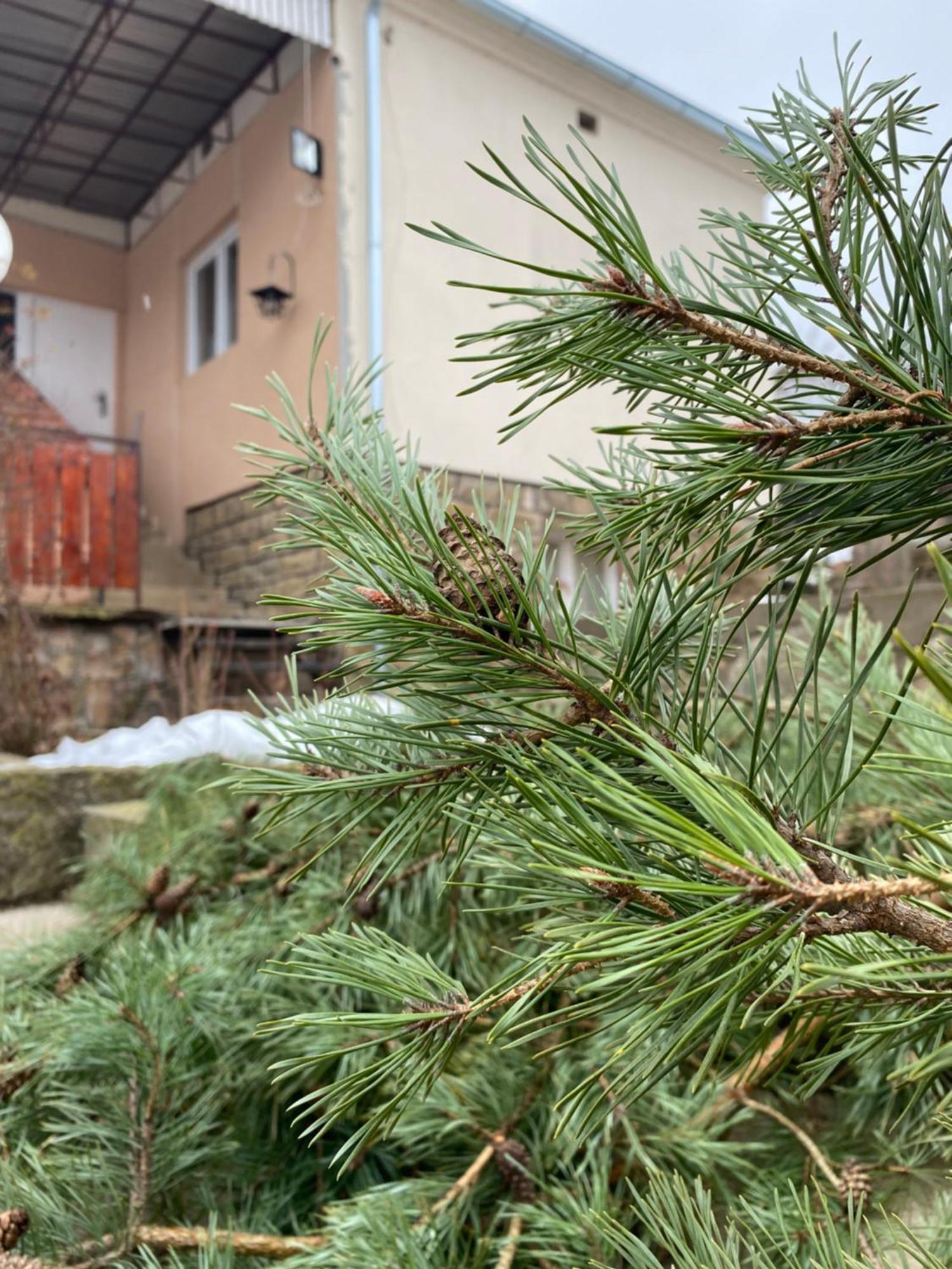 Seosko Turisticko Domacinstvo Stanisic Apartment Kalna Luaran gambar