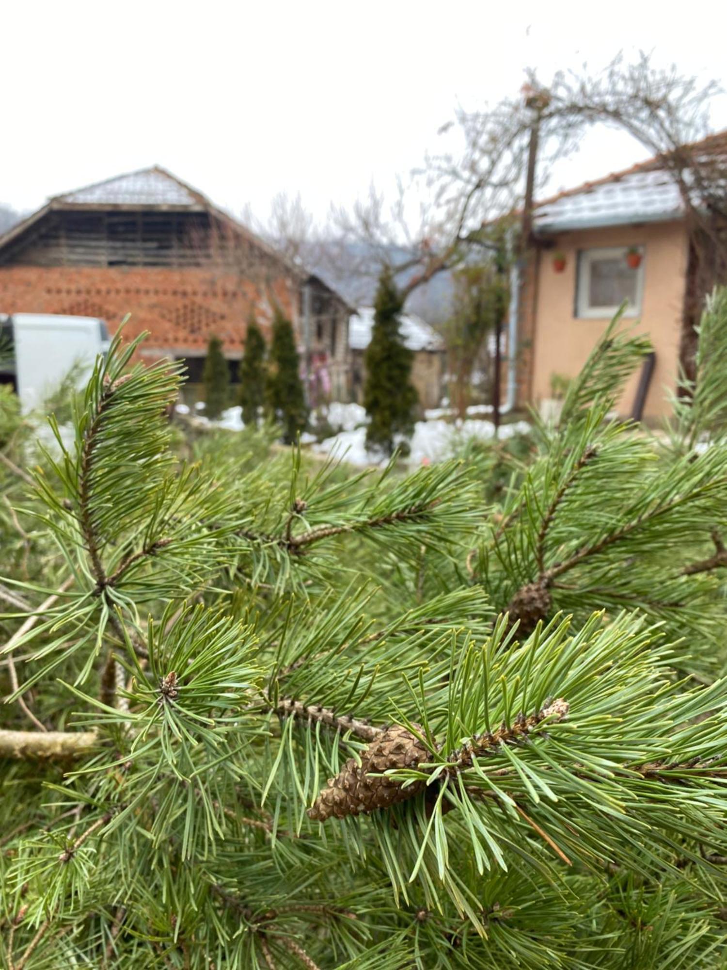 Seosko Turisticko Domacinstvo Stanisic Apartment Kalna Luaran gambar